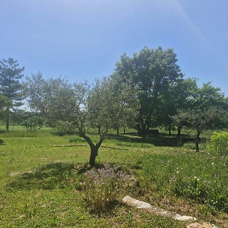Appartement La Bastideta, à Fayence Extérieur photo