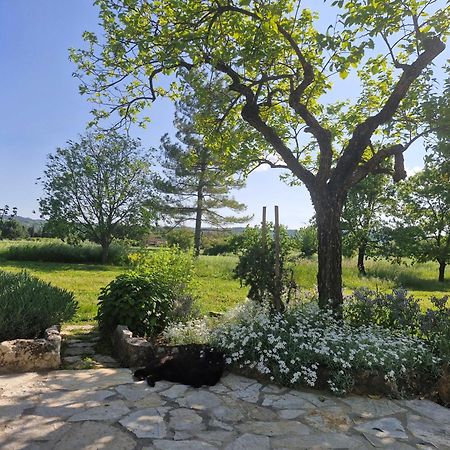 Appartement La Bastideta, à Fayence Extérieur photo