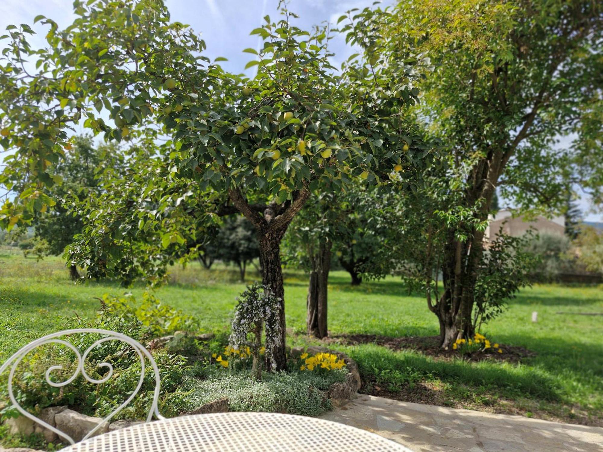 Appartement La Bastideta, à Fayence Extérieur photo