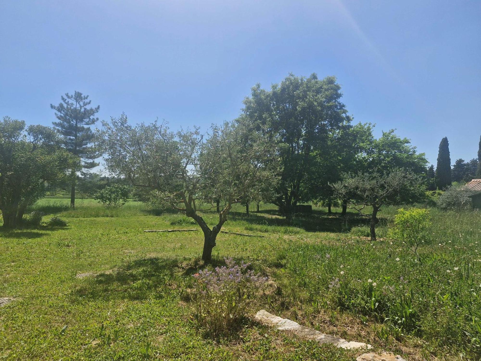 Appartement La Bastideta, à Fayence Extérieur photo