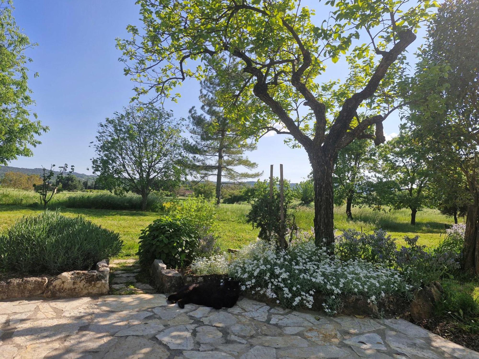 Appartement La Bastideta, à Fayence Extérieur photo